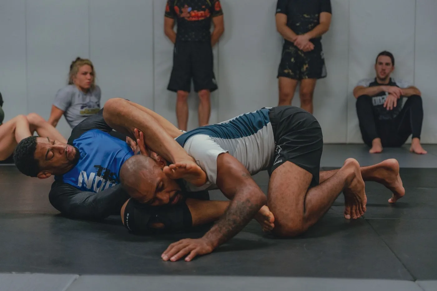 A sportoló szervezetének — sportedző (grappling sportágban) képzés