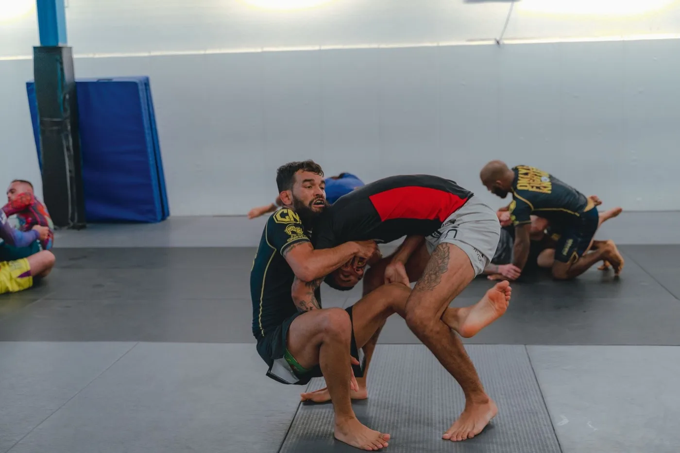 Edzéselméleti alapok — sportedző (grappling sportágban) képzés