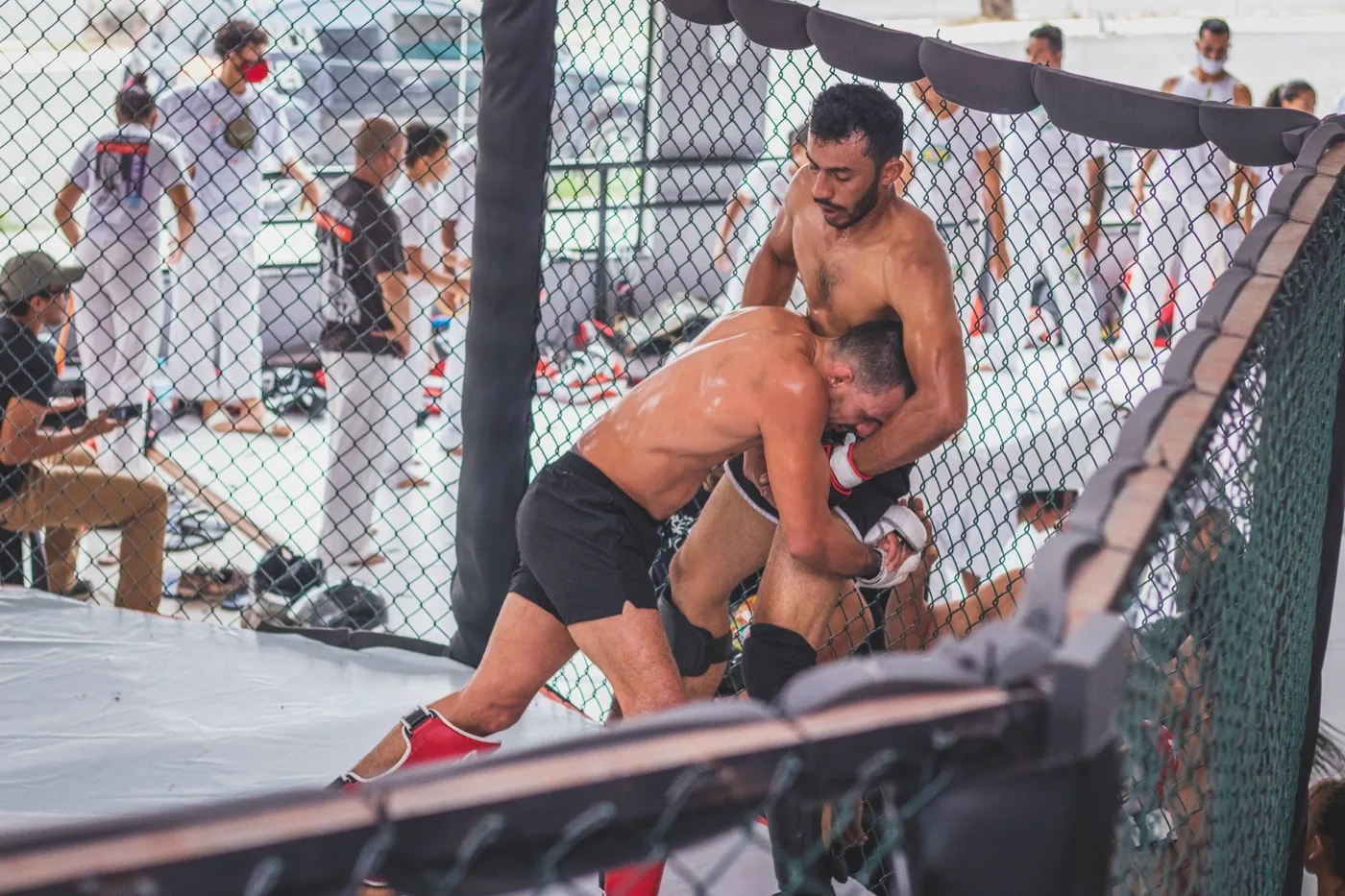 Gimnasztika — sportedző (grappling sportágban) képzés